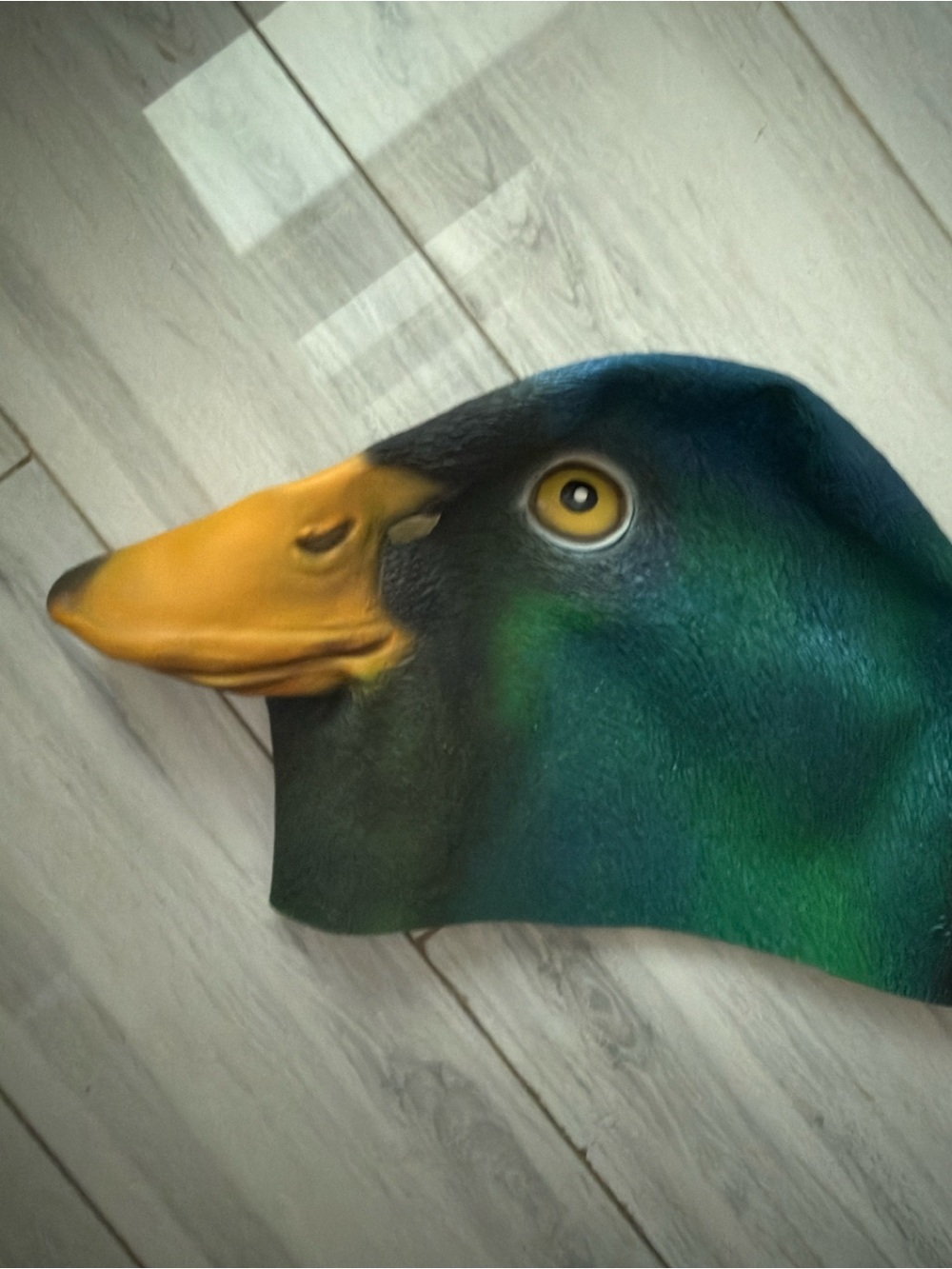 Mcphee Archie Mallard Duck Mask Fall Halloween š One Size - Picture 3 of 7